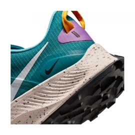 Nike Pegasus Trail 3 M DA8697-300 scarpa da corsa blu 1