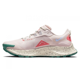 Nike Pegasus Trail 3 W DA8698-600 scarpe da corsa rosa 1
