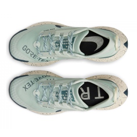 Nike Pegasus Trail 3 Gtx W DC8794-003 scarpe da corsa verde 1