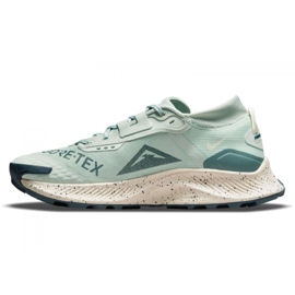 Nike Pegasus Trail 3 Gtx W DC8794-003 scarpe da corsa verde 2