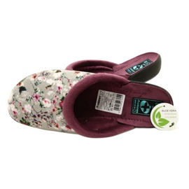 Ciabatte Cherry Blossom Adanex 26764 Aloe Vera viola grigio 4