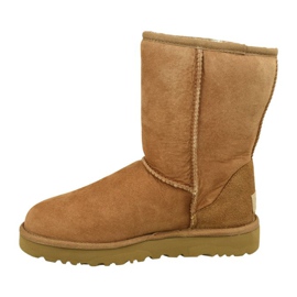 Ugg Classic Short II W 1016223-CHE marrone 1
