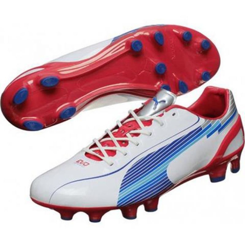 Scarpe da calcio Puma Evo Speed ​​1 Fg M 102527 01 bianca bianca 1