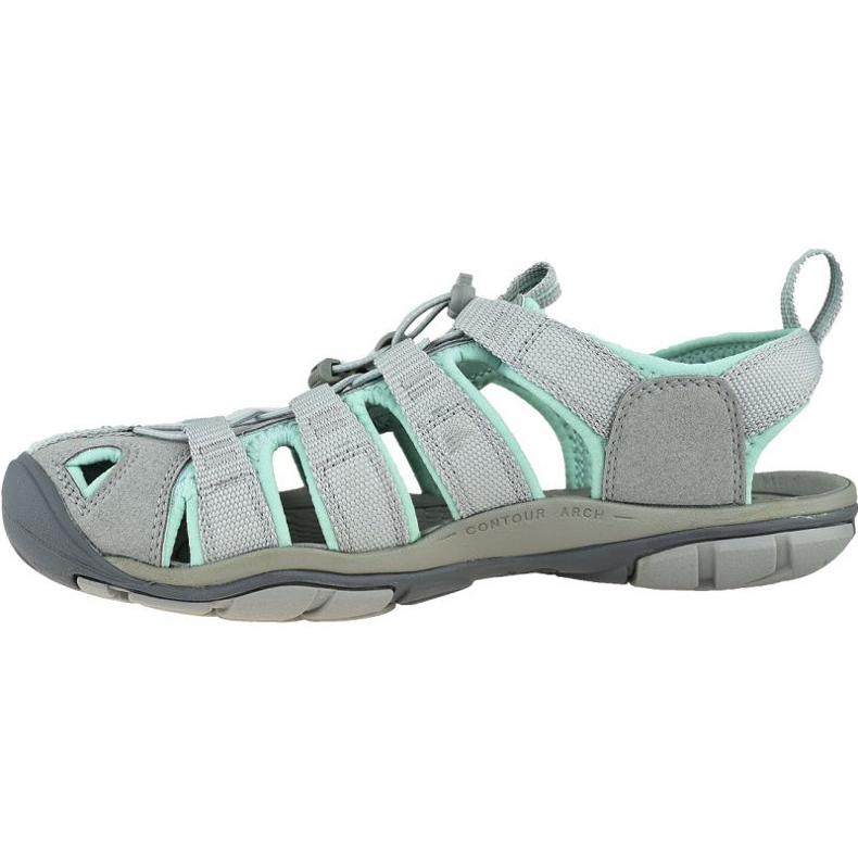 Clearwater Cnx W 1022964 . di Keen Wm grigio 1