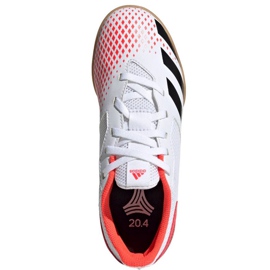 Scarpe indoor adidas Predator 20.4 In Sala Jr EG0930 multicolore bianco 1