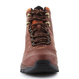 Scarpe Ariat Berwick Gtx W 10016298 marrone 2