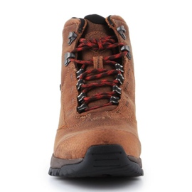 Scarpe Ariat Berwick Gtx W 10016299 marrone 2