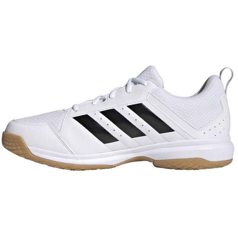 Scarpe da pallavolo Adidas Ligra 7 M GZ0069 bianca bianca 1