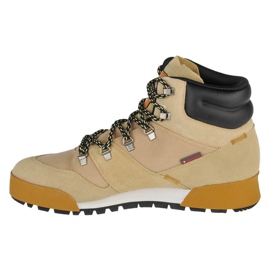 Scarpe Adidas Terrex Snowpitch Cold.Rdy M FZ3377 beige 1