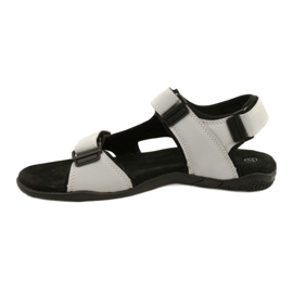 Sandali American Club HL53/22 con inserto in pelle LT.Grigio 1