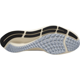 Nike Air Zoom Pegasus 38 Premium W DC8796-400 blu grigio 1
