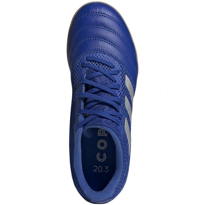 Scarpe da calcio Adidas Copa 20.3 In Sala Jr EH0906 argento, blu blu 1