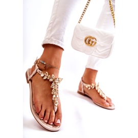 PG2 Sandali Infradito Da Donna Con Cintura Decorativa Beige Daylight 3