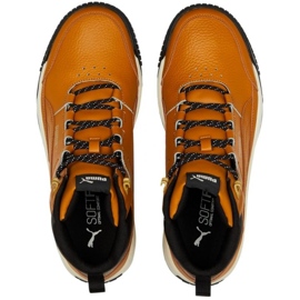 Puma Tarrenz Sb Ii M 386392 02 marrone 1