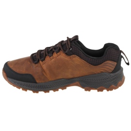 Scarpe Merrell Forestbound M J99643 marrone 1
