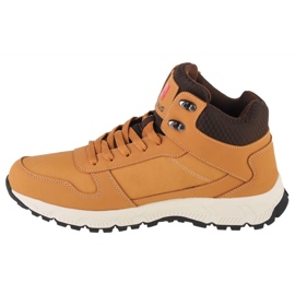 Scarpe Campus Norden CM0101321330 marrone 1