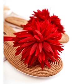 WJ1 Infradito da donna con decoro in tessuto rosso Eviana 1
