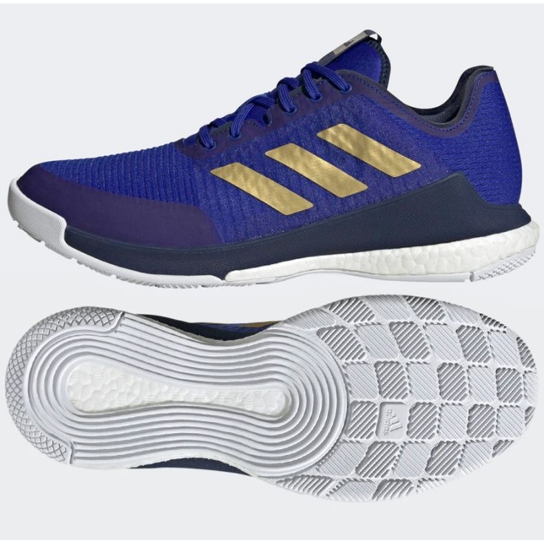 Scarpe da pallavolo adidas CrazyFlight Mid M HQ3488 blu blu 1