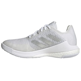 Scarpe da pallavolo adidas CrazyFlight W HR0635 bianco bianco 1