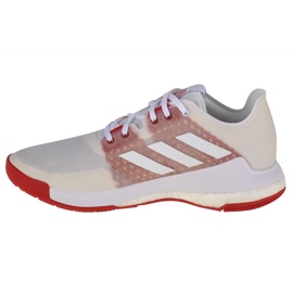 Scarpe da pallavolo adidas CrazyFlight W EF2679 bianco bianco 1