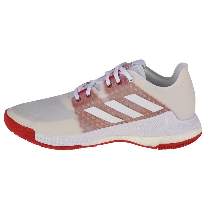 Scarpe da pallavolo adidas CrazyFlight W EF2679 bianca bianca 1