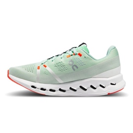 Nike Scarpe On Running Cloudsurfer 7 M 3MD10421071 verde 1