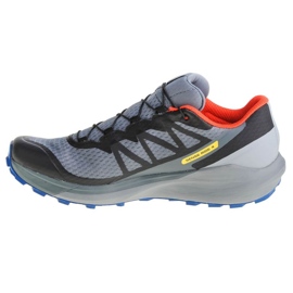 Scarpe Salomon Sense Ride 4 Gtx M 413778 grigio 1